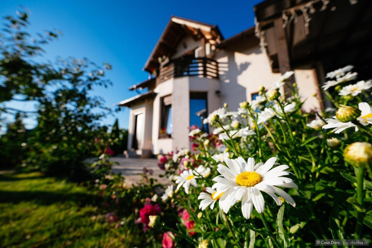 Hotel Casa Dora Sučava Exteriér fotografie