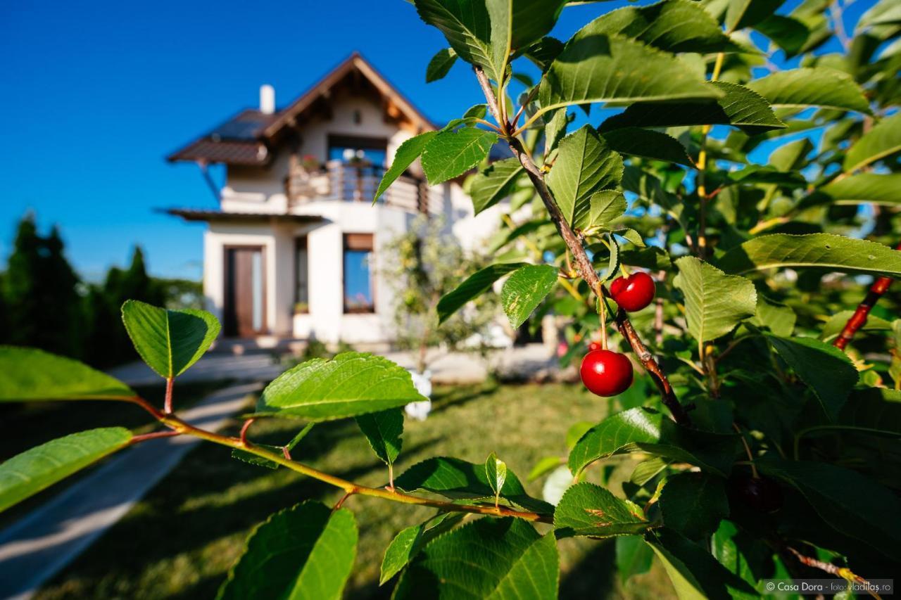 Hotel Casa Dora Sučava Exteriér fotografie